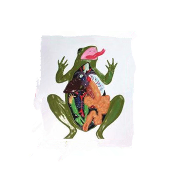 relive model of frog anatomy LM1160-25