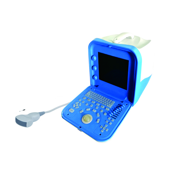 Full Digital Ultrasound Scanner With Convex Probe