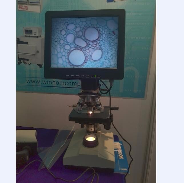 Microscope Wincom