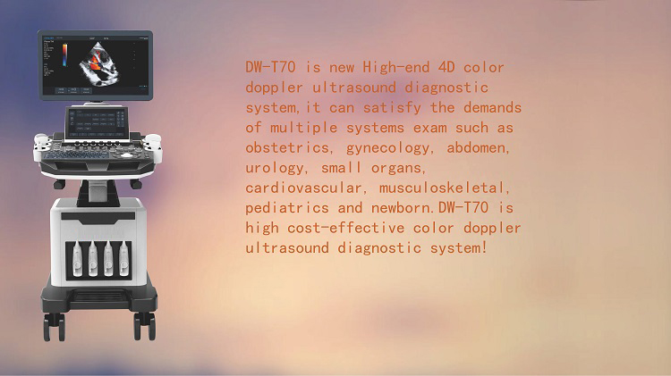 Echo cardiography ultrasound