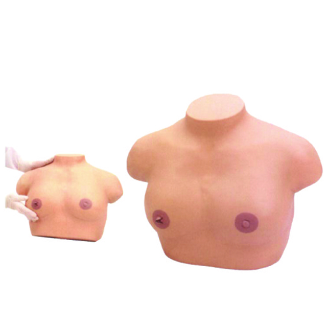Medical Teaching Model Advanced Insection and Palpation of Mreast Model Teaching Aids