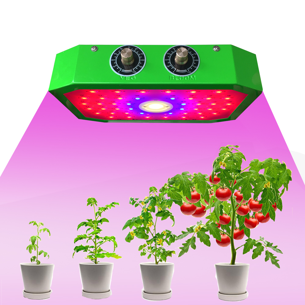 1000W Green Full Spectrum COB Indoor Plants LED Hydroponics Grow Lights for Indoor Plant Growth