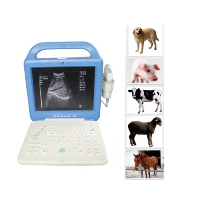 Vet Ultrasound
