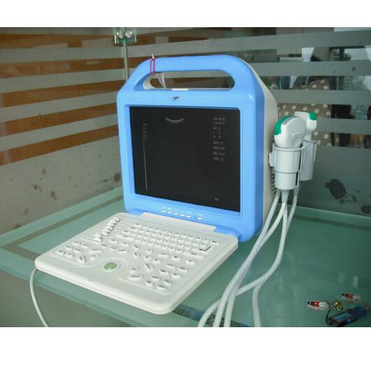 Digital Veterinary Ultrasound Scanner For Pets Equipments