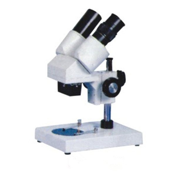 S-20 Stereo Zoom Microscope