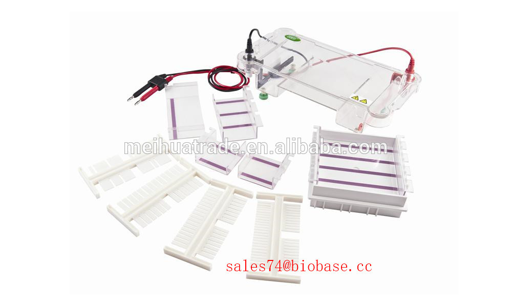 ET-V2 china Lab Vertical Electrophoresis tank/biochemical of proteins system