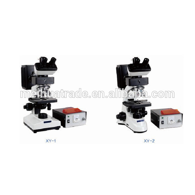 Biobase Laboratory Immunofluorescence observation Fluorescence Microscope (skype psyche_lxf)