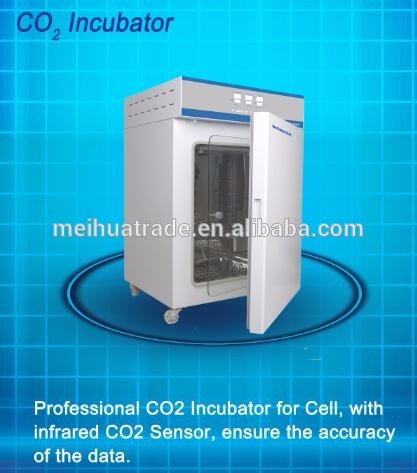 Constant-temp incubator electric thermostatic incubator for lab 30L 50L 80L 160L