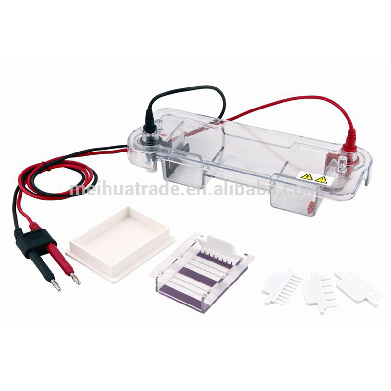 DNA and Nucleic Acid Analysis Horizontal Gel Electrophoresis Tank/ Eletrophresis Machine