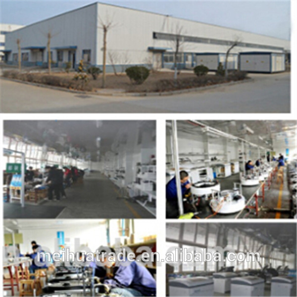 Semi Automated Portable Urine Analyzer With CE