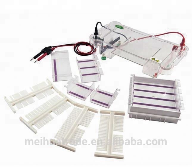 HOT SALE Horizontal Electrophoresis Large Size for 100 samples
