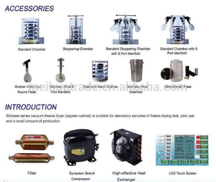 BIOBASE China Small Home Laboratory Factory Price Vaccum Lyophilizer Machine/Vacuum Freeze Dryer