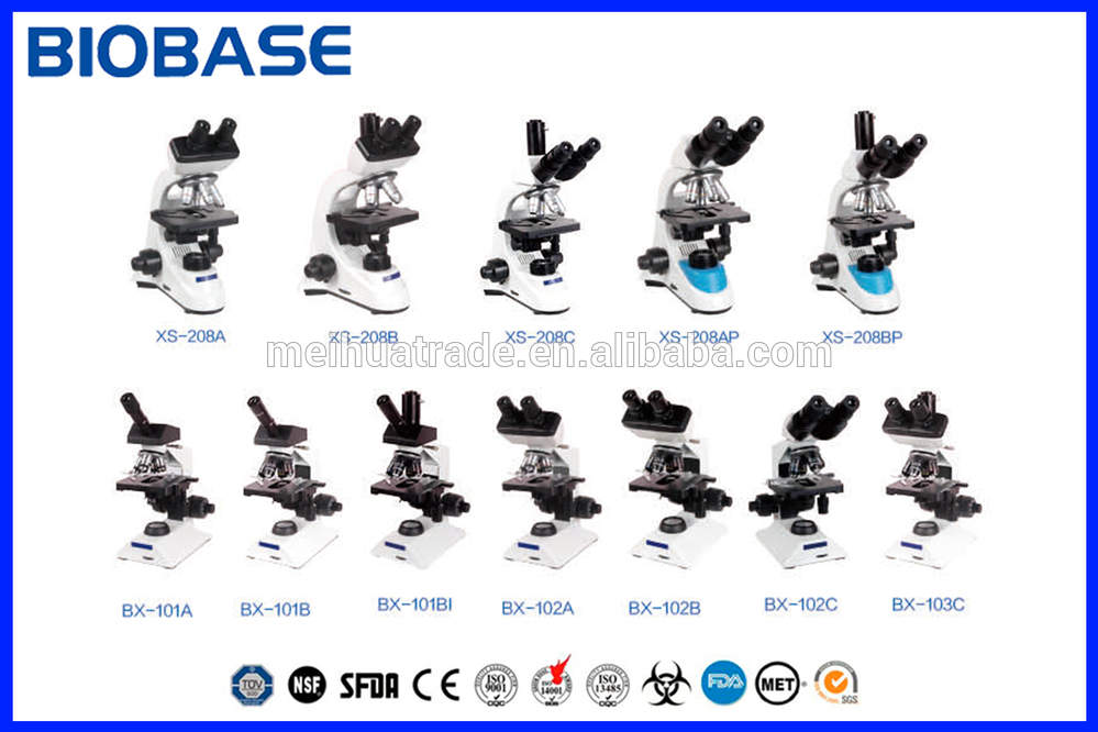 AC/DC exchangeable Electric Precision analytical Balance balance scooter high stability