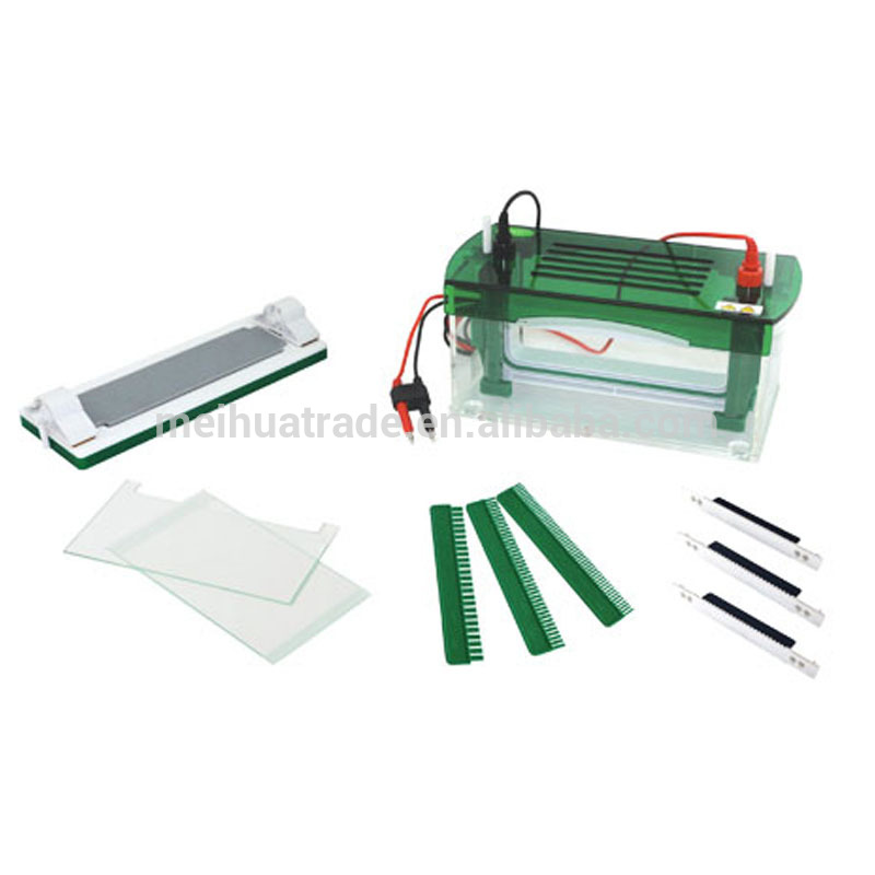 Easy Installation Nucleic Acid and Protein Vertical Gel Electrophoresis Tank Machine