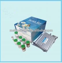 Dolichos bifows agglutinin,DBA ELISA Kit/Tobacco Mosaic Virus (TMV) ELISA kit
