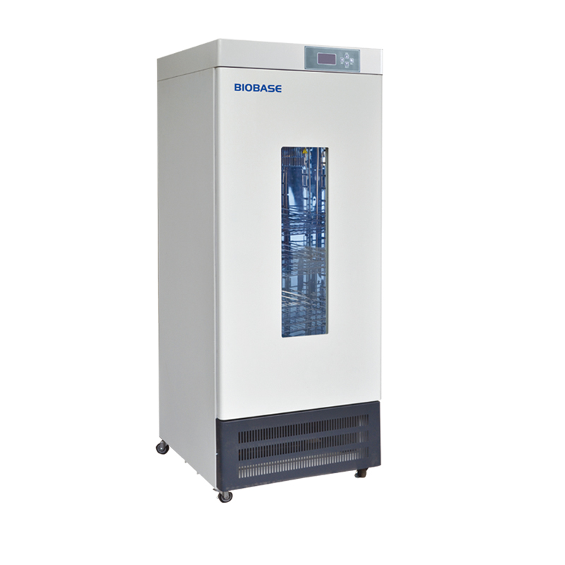 BIOBASE Digital Stainless Steel Laboratory Biochemistry Incubator With CE