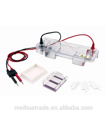 ET-H2 BIOBASE Horizontal Gel Electrophoresis, tank Electrophoresis , Gel Electrophoresis