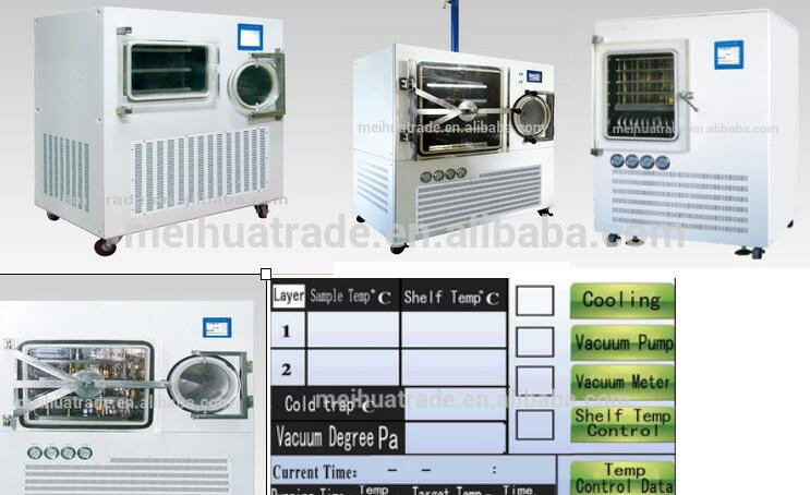 BIOBASE China BK-FD50T laboratory Square Cabinet Type vacuum Freeze Dryer competitive price