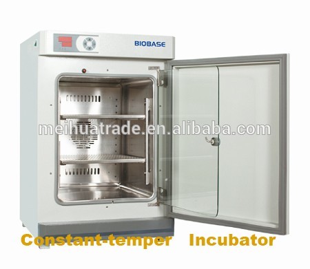 230L Constant-Temperature Incubator with High Quality