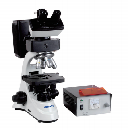 High Quality Fluorescence laboratory microscope with cheap price