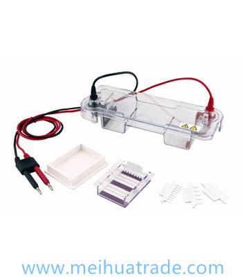 Model ET-H1 with High Quality Electrophoresis Apparatus Horizontal Electrophoresis