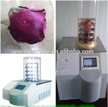 BIOBASE China Laboratory and Food Table Top Type Vacuum Freeze Dryer