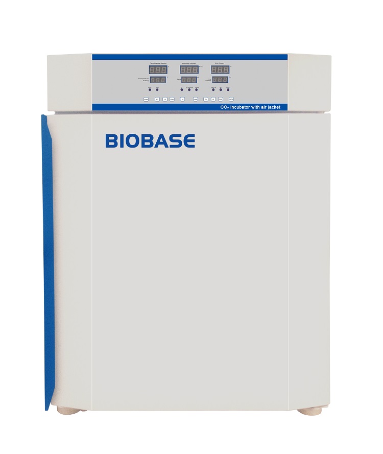 BIOBASE lab and medical BJPX-C50 CO2 incubator with cheap price