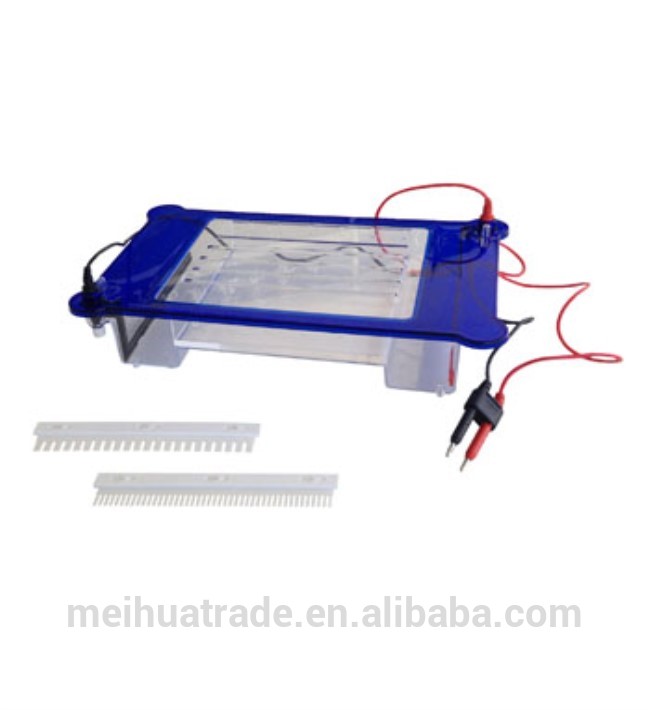 BIOBASE Horizontal Electrophoresis ET-H3 for medical use