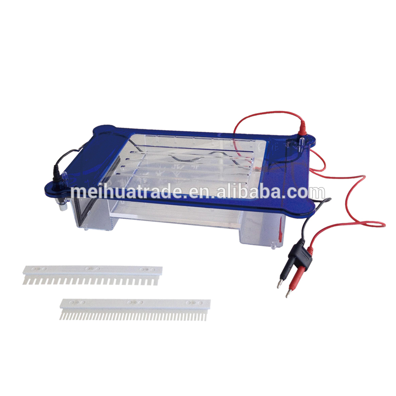 BIOBASE high quality Agarose Horizontal System Electrophoresis gel tank used for molecular biology