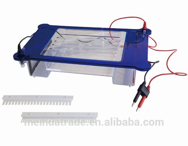 High Quality Large Horizontal Electrophoresis with 264 samples 1.8L
