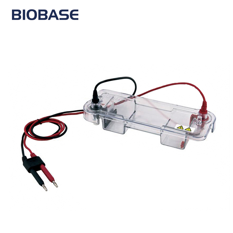 BIOBASE Horizontal Electrophoresis tank
