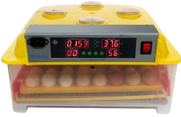 BIOBASE 112 Mini  Fully Automatic Chicken Egg Incubator with CE approved mini order 50 units