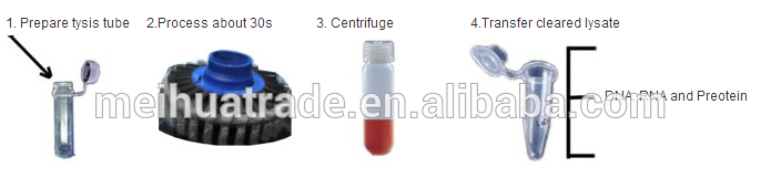 BIOBASE laboratory cell tissues Homogenizer