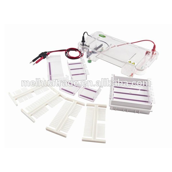 DNA RNA agarose gel electrodes power supply horizontal electrophoresis with cheap price