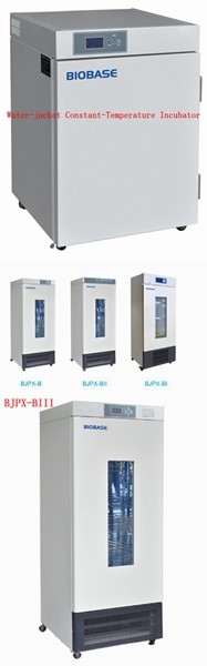BIOBASE Used in Laboratory 30L BJPX-H30II Constant-Temperature Incubator