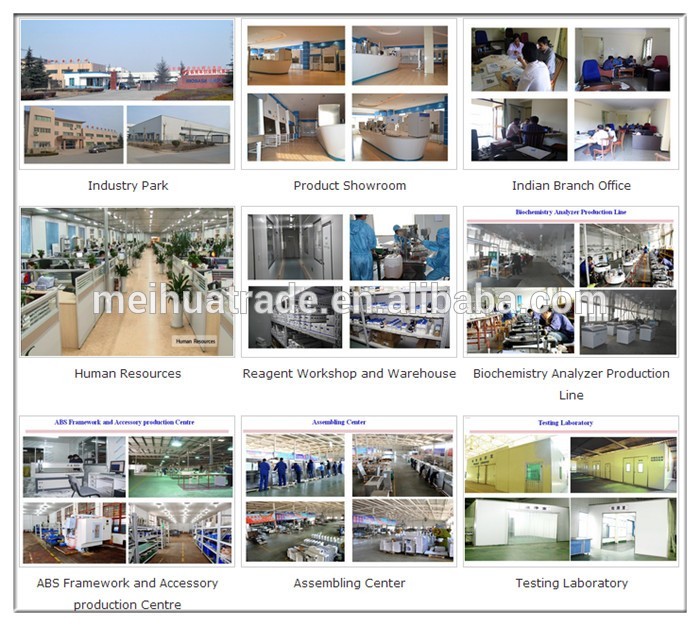 Automatically Vacuum Control Vacuum Drying Oven with High Quality