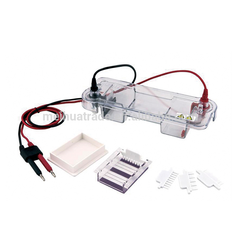 Biobase Automatic Protection Function ET-H1 Horizontal Electrophoresis Tank for factory price