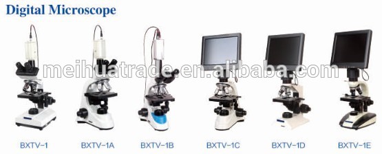 10' LCD monitor camera Laboratory Biological USB digital Microscope