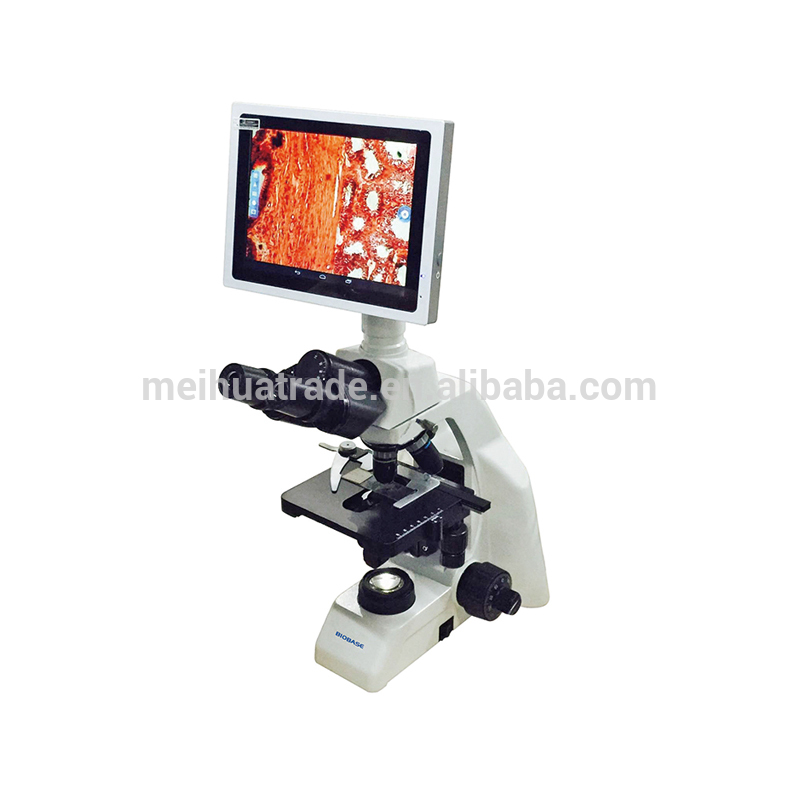 China Cheap Factory Price Laboratory Digital Biological Microscope with 10 Degree LCD Monitor Camera