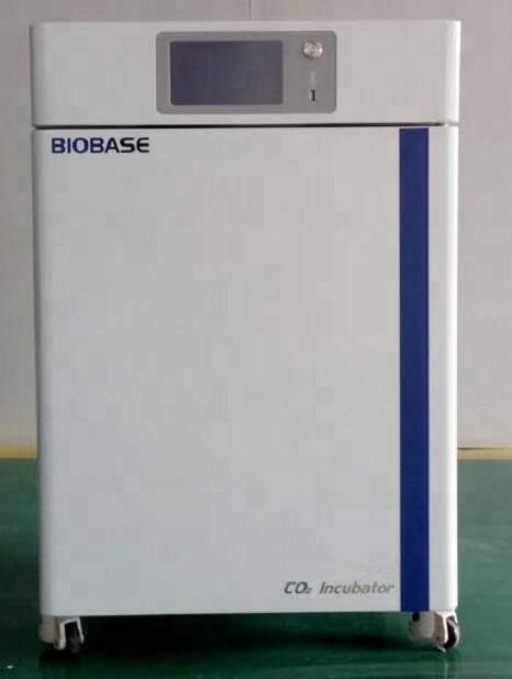 BIOBASE Laboratory IVF Equipment Constant Temperature CO2 Incubator Prices