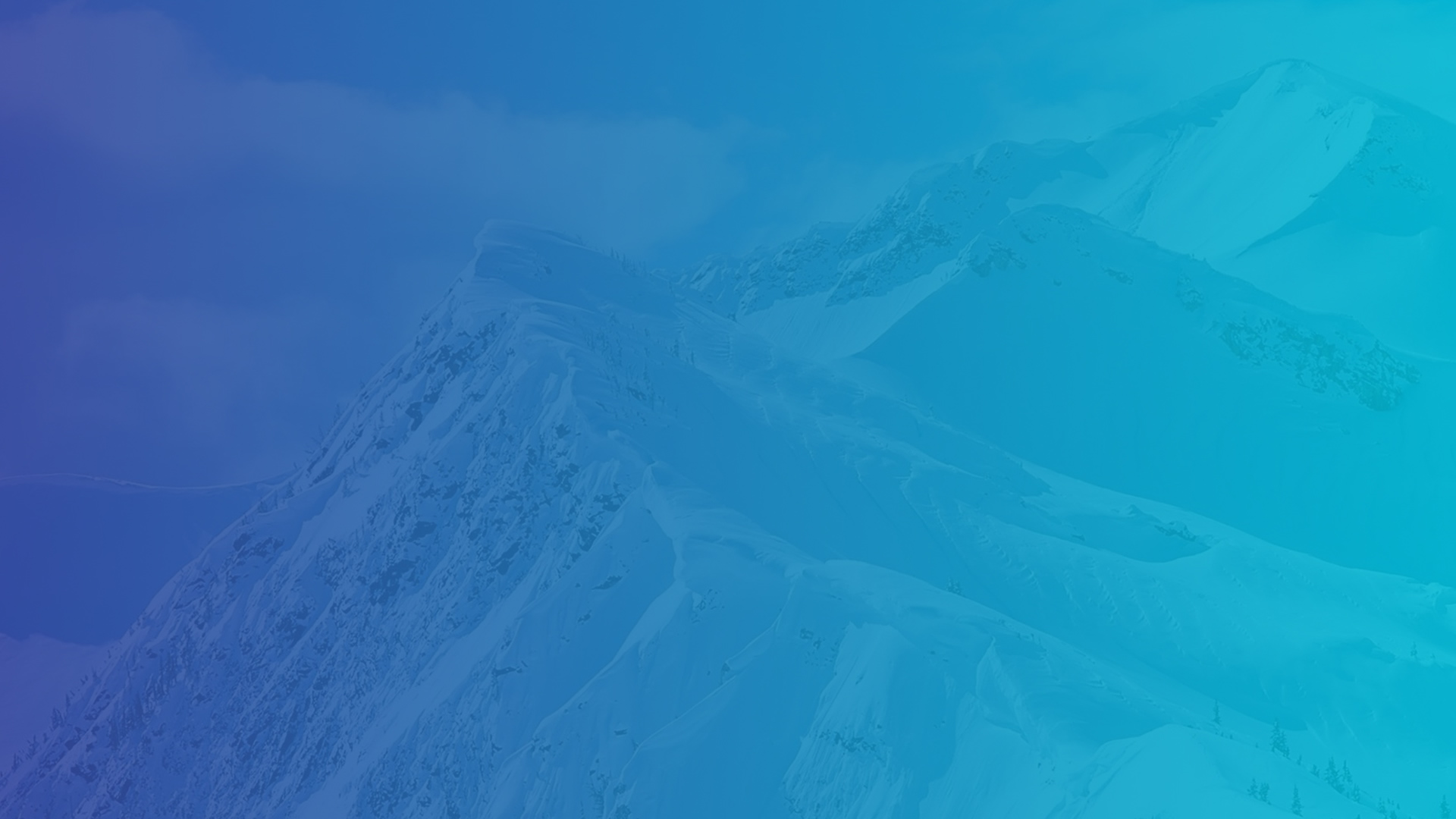 SHUSHE Array image121