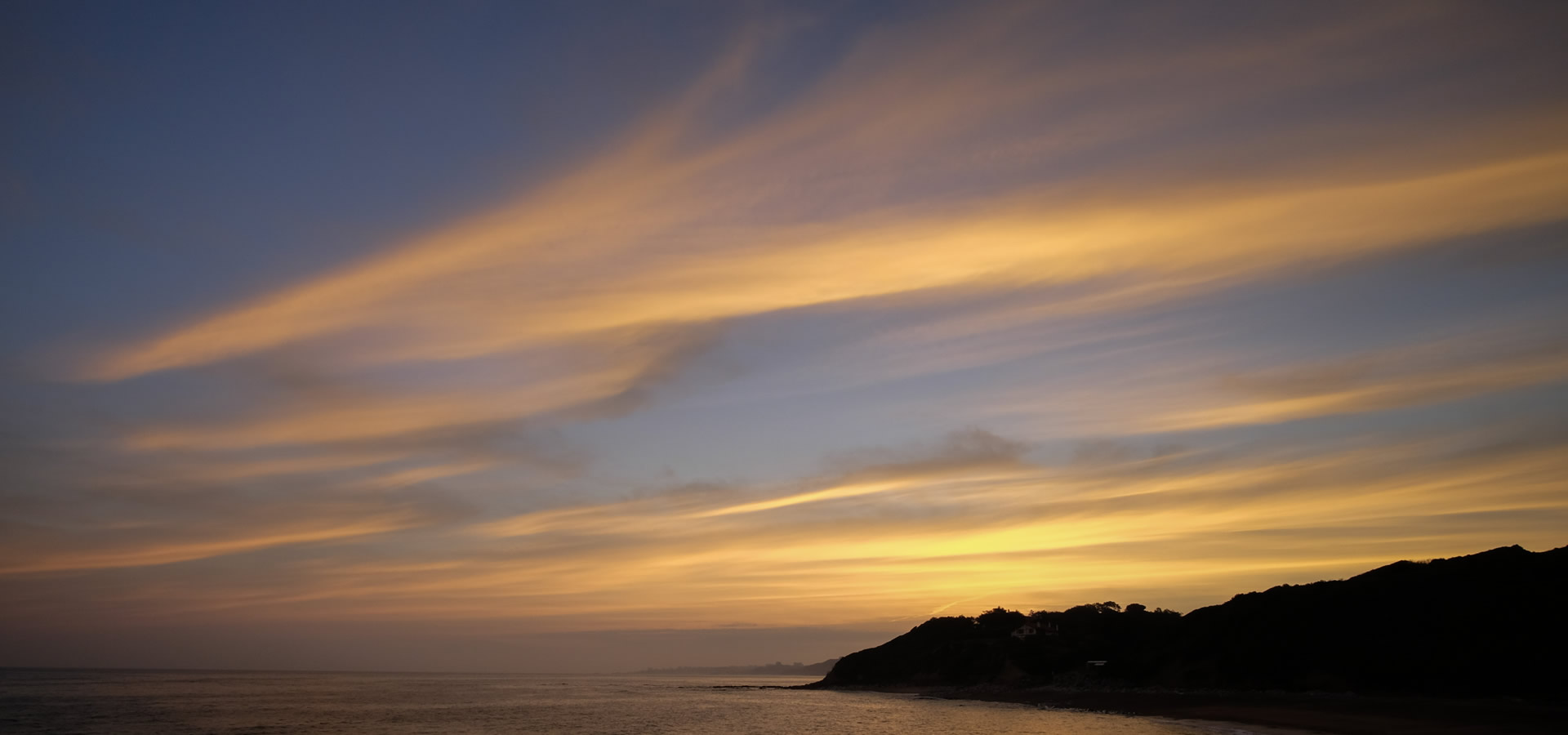 Njgiant Array image621