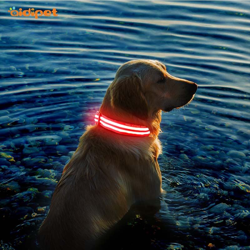 -Aidi-c17 Metal Buckles Usb Rechargeable Led Dog Collar-shenghong