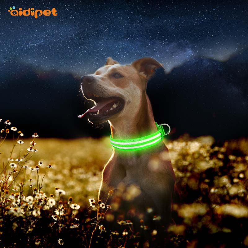 -Aidi-c17 Metal Buckles Usb Rechargeable Led Dog Collar-shenghong-1