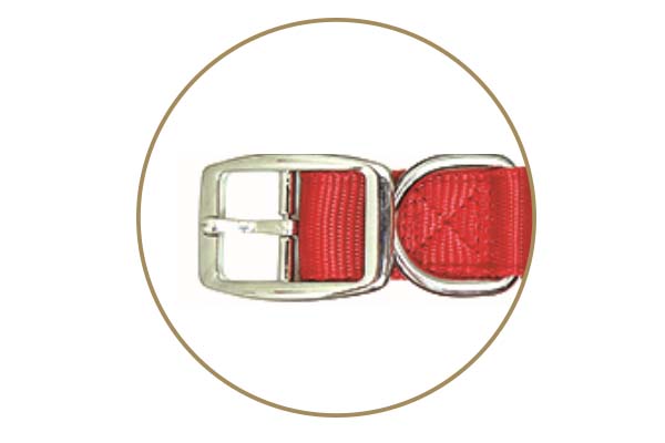 -Aidi-c17 Metal Buckles Usb Rechargeable Led Dog Collar-shenghong-3