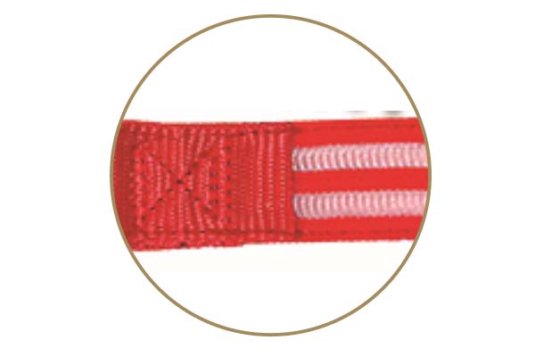 -Aidi-c17 Metal Buckles Usb Rechargeable Led Dog Collar-shenghong-6