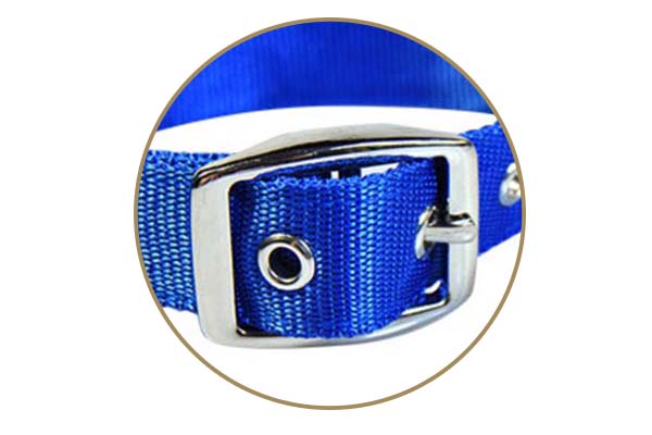 AIDI-Best Light Up Dog Collar | Aidi-c18 Metal Buckles Usb Rechargeable-3