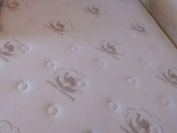 Rayson  Array image94