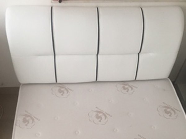 Rayson  Array image123