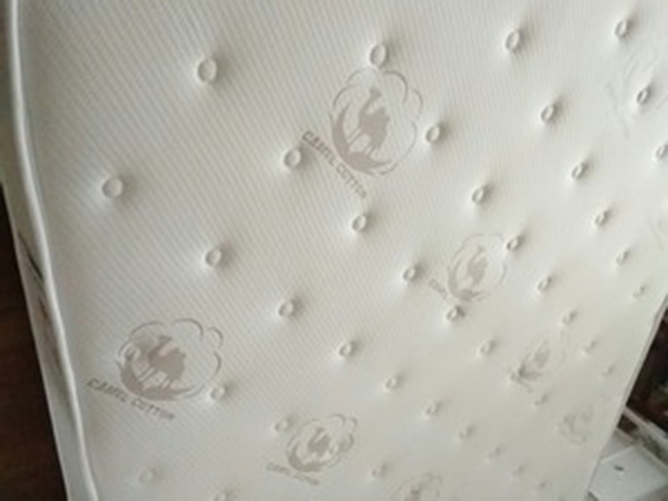 Rayson  Array image134